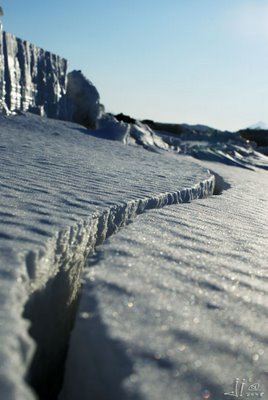 Abandoned Frozen Ships