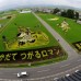 Японское искусство возделывания рисовых полей