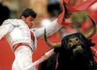 В Испании запретили корриду
